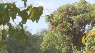 6 Missouri drives during fall to experience bright autumn colors