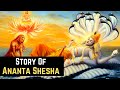 Ananta shesha  the snake bed of vishnu