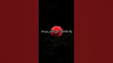 محمد اللحيدان  -  سورة المؤمنون. 🤎 #صلوا_على_النبي #قرآن #اكسبلور #محمد_اللحيدان