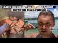 Как и чем кормят на острове оленей , остров Маврикий