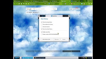 clear cookie/cache Maxthon