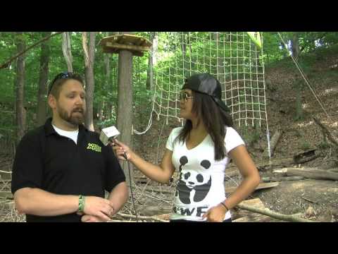 Video: Đi Ape Zip Line Treetop Adventure ở Pittsburgh