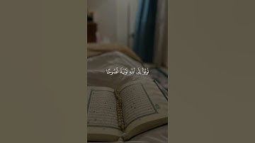 #ماهر_المعيقلي تلاوة هادئة ومؤثرة جدًا بصوت الشيخ ماهر المعيقلي؟#ماهر_المعيقلي#قصير