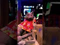被官稲荷神社：立身出世を司る、不屈の守護拠点 | Hikan Inari Shrine: A Resilient Guardian of Career and Success