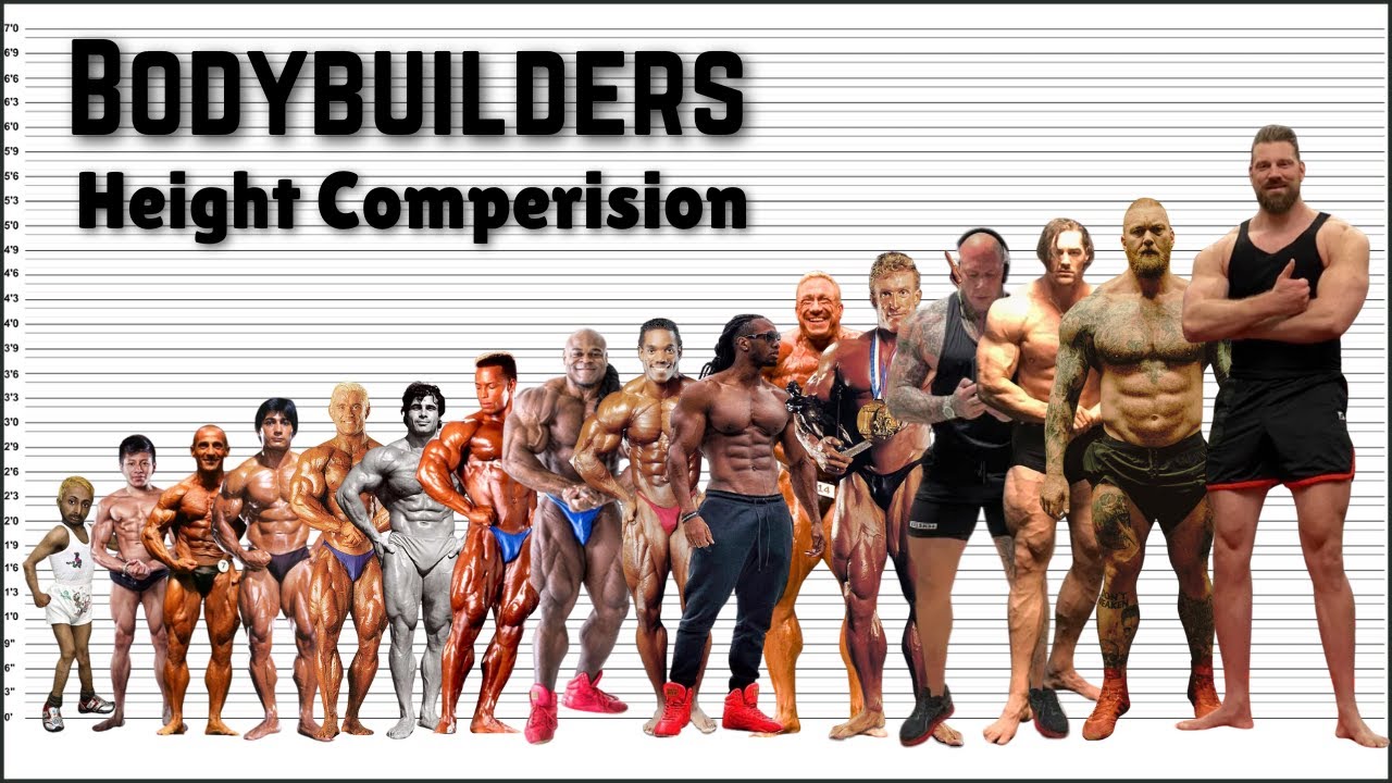Top Bodybuilders Height Comparison: From Shortest to Tallest