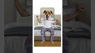 What If Dogs Were Humans?