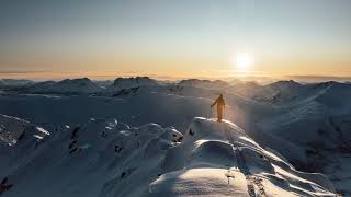 Nikolai Schirmer Live Stream