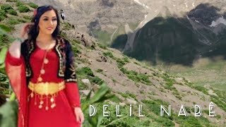 Diyadin Erbek Delil Nabê Harika Kürtçe Uzun Hava Dengbej 2022