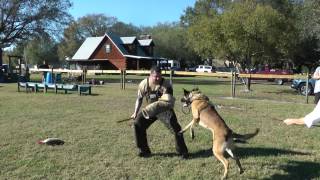 Chief ot Vitosha's Intro to PSA w/ decoy Sean Siggins