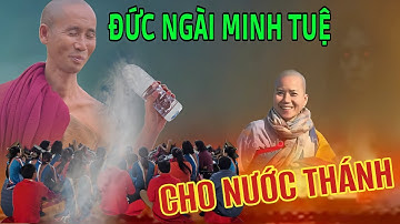 Lão Tiều Phu khẳng định đám giả tu bầy cuồng tính ĐẾN HỒI TRẢ QUẢ