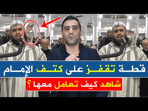 فيديو: الوفرة: القطعة الفنية لـ Wang Zhiyuan لحماية البيئة