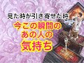 本日はお相手の心の闇も見るわよ🐈【恋愛タロット&チャーム占い💓】お相手のあなたへの気持ち【見た時が引き寄せた時💓】🔮Pick a card