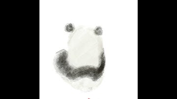 How to draw panda on Procreate?