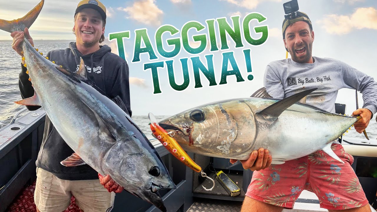 HOW TO CATCH BLUEFIN TUNA IN 2023!(Fishing & Tagging Bluefin Tuna