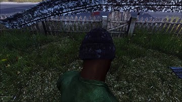 dayz Standalone 0.60 Bug