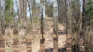 Real estate for sale in Hiram Georgia - MLS# 5528187 Real estate for sale in Hiram Georgia - MLS# 5528187