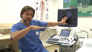 Sind Ultraschalluntersuchungen Pflicht?