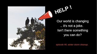 Winter storm cleanup work party featuring Vancouver Sea Shepherds