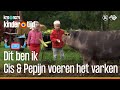 Cis en Pepijn voeren mais aan het varken op de boerderij (Kindertijd KRO-NCRV)