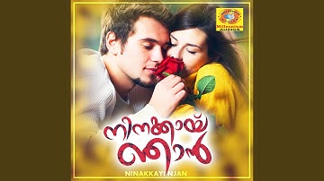 Ninakkay Njan