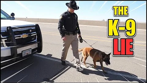 LAWYER: K-9 Drug Search LIE EXPOSED: The 44% LIE Police USE