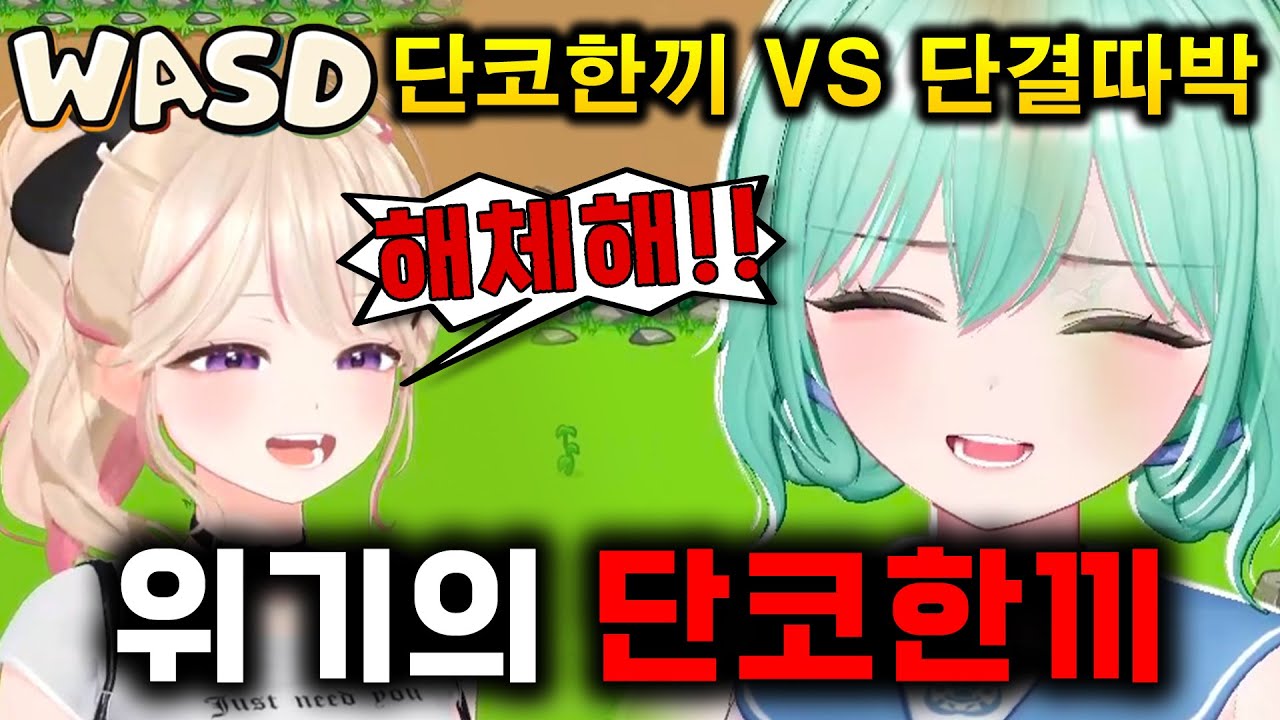 단코한끼 해체할 뻔한 날 | WASD 단코한끼 vs 단결따박