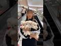 #Sweet Cute #Girl and Her #Puppy Having Fun Together | Cute Puppy #Love Story