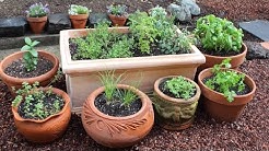 How to Plant a Culinary Herb Garden! DIY Kitchen Garden