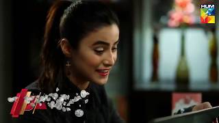 De Ijazat  Ost Hum Tv Drama Song