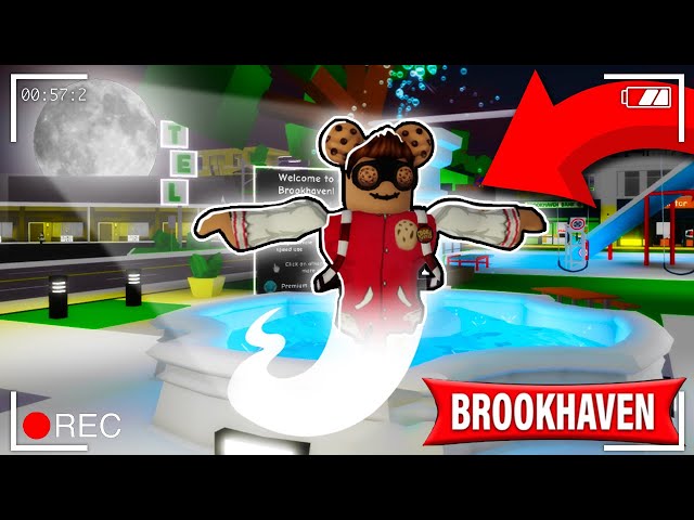 How To Turn INVISIBLE in Roblox BrookHaven 🏡RP (CRAZY HACK) 