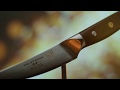 The Shogun Series 6” Curved Filet Knife | Dalstrong ©