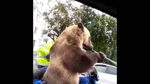 Thumbnail of A normal day in Russia 😂