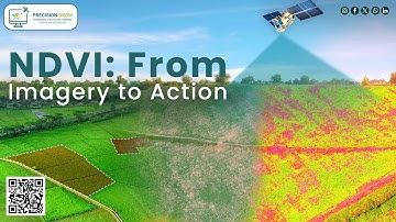 !! The Power of NDVI: Actionable Insights from Imagery !!
