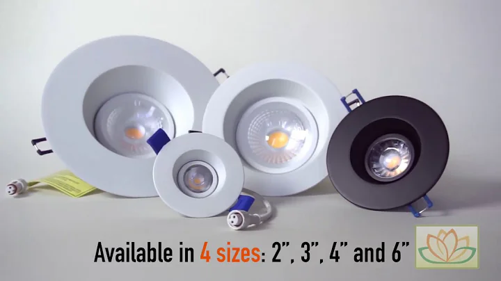 Regressed Gimbal LED Lighting