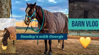 Barn Vlog | Sunday’s with George | Flatwork & Jumping