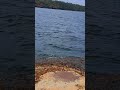 Nature love Sydney