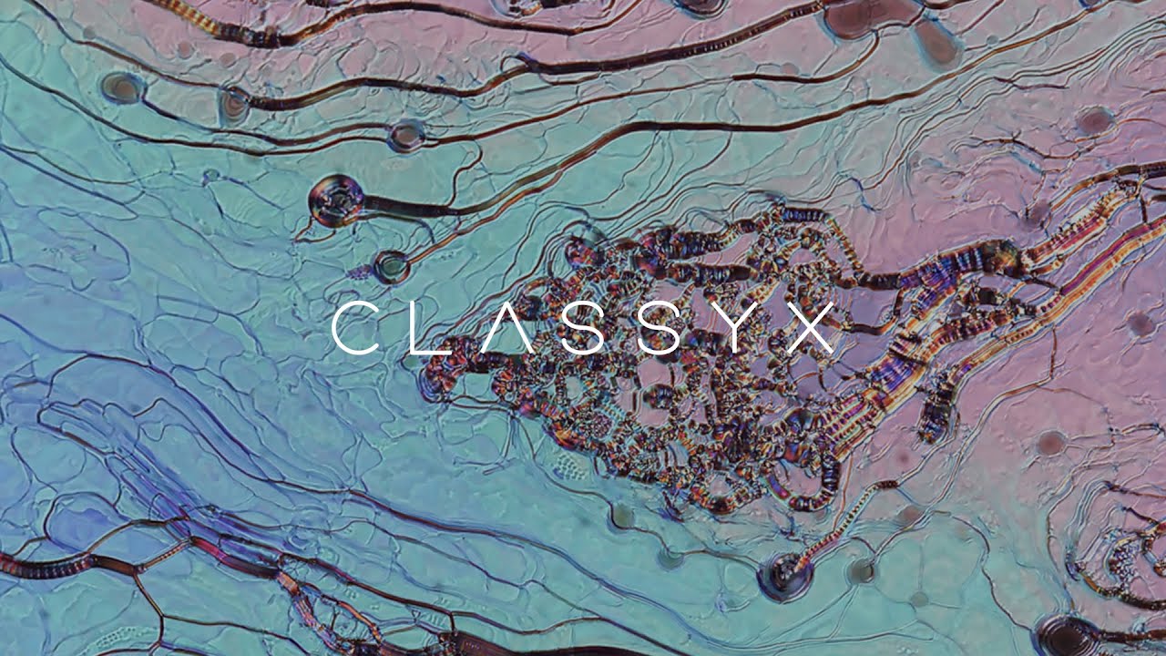 DKUUL ━ ALL I NEED