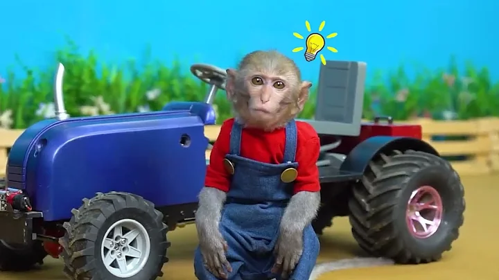 Monkey Nana Drives a tractor and embarks on a bizarre adventure with the thuder watermelon   YouTube