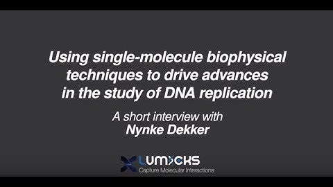 Using single-molecule biophysical techniques to drive advances in the study of DNA replication