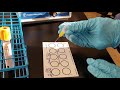 Microbiology:  Rapid Plasma Reagin (RPR) Test