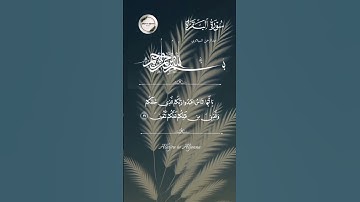 تلاوة تلامس القلوب ❤ | سورة البقرة  📖| يا ايها الناس اعبدوا ربكم  🌿