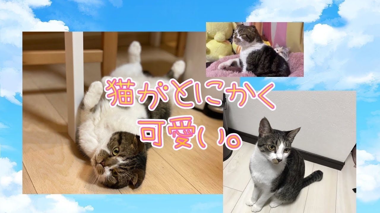 収益化 ありがとう配信 桜咲千依 Youtube