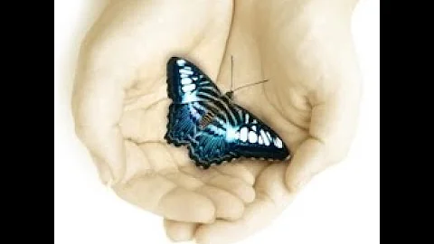 Susan Monroe: Becoming A Warrior in Grief