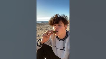 Sunday vibes ☀️ #shorts | Nicky and Pierre #NiPi