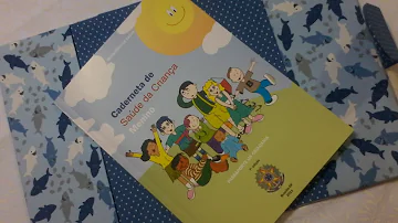 Como fazer caderneta de vacinação?