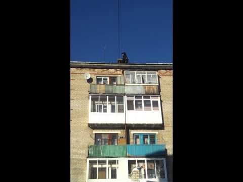 Чувак на крыше скидывает веревку