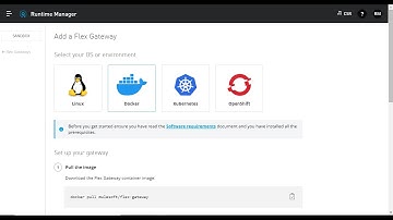 API Management and Flex Gateway in Connected Mode
