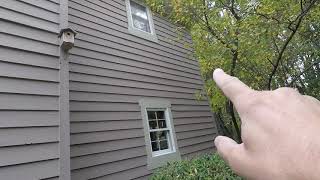 How to keep woodpeckers off your house | Bird B Gone