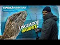 A PESCA DO HALIBUT O LINGUADO GIGANTE DO ALASCA! | EXPEDIÇÃO AVENTURA