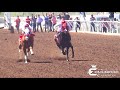 Eliminatorias Maturity "La Bikina". El Payaso Vs. La Santa. Satevo Racetrack, CHIH.